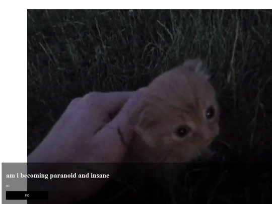 what screenshot