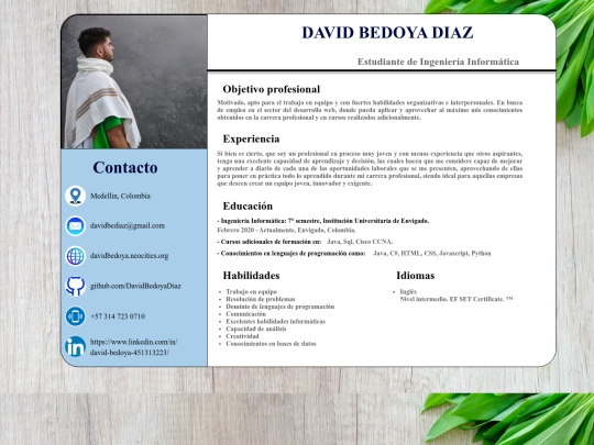 HojaDeVida screenshot