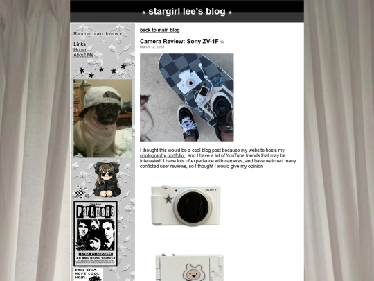 sonyzv1f screenshot