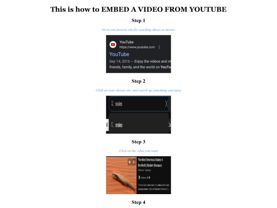video embedding assignment/video screenshot