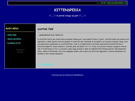 pages/scottish_fold screenshot