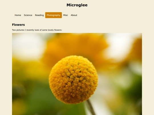 photography screenshot