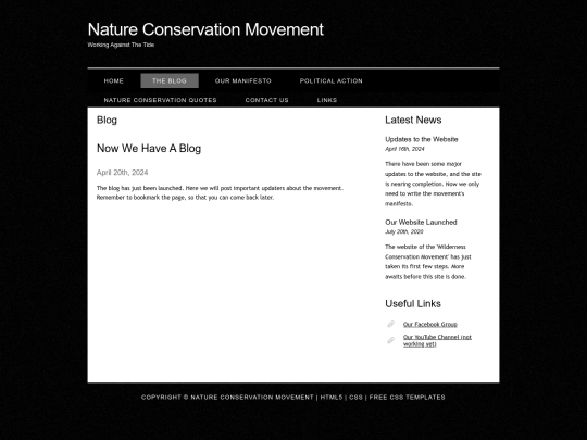 blog screenshot