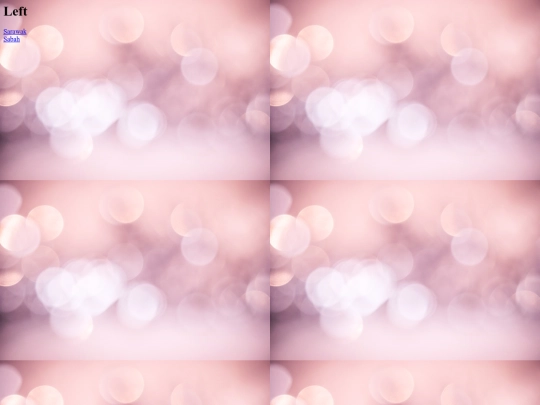 left screenshot