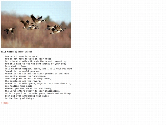 pages/wildgeese screenshot