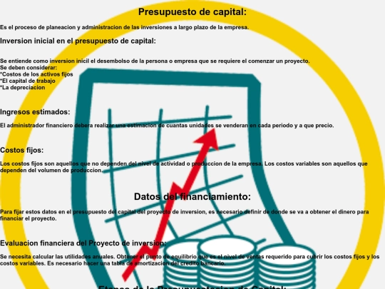 Presupuesto de capital screenshot
