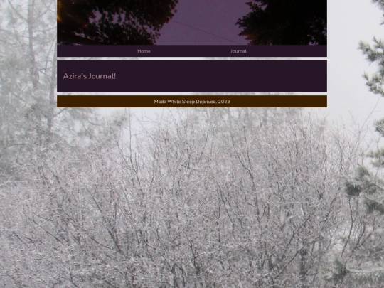 journal screenshot