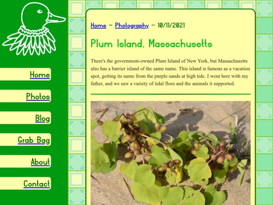 photos/2021_10_11_plum_island screenshot