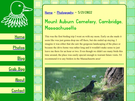 photos/2022_05_21_mount_auburn screenshot