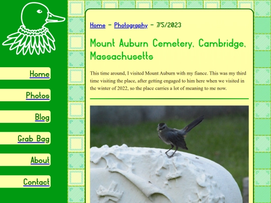photos/2023_07_05_mount_auburn screenshot