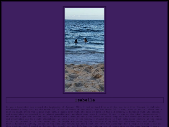 IVMT screenshot