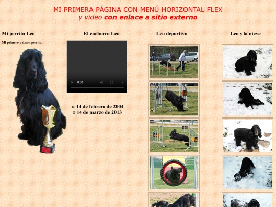 Primera_pagina_flexor screenshot