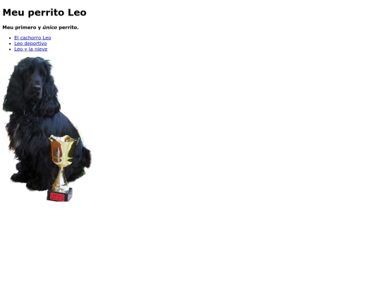 leo1 screenshot