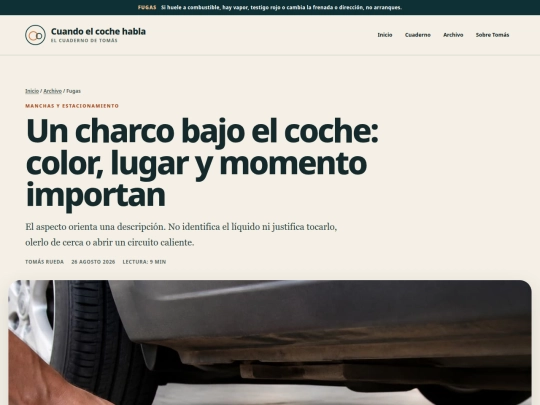 posts/un-charco-bajo-el-coche-color-lugar-y-momento-importan screenshot