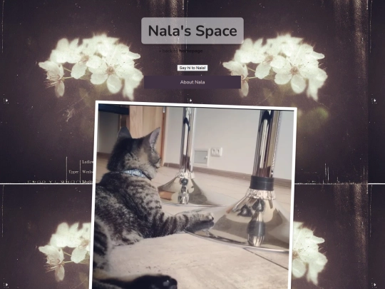 NalasSpace/NalasSpace screenshot