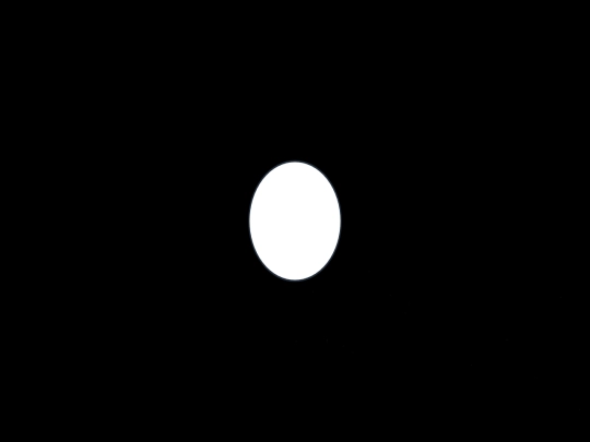 Yolkintheshell screenshot