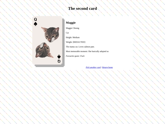 maggie screenshot