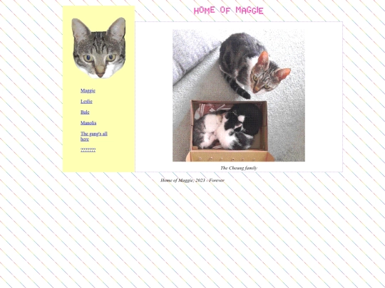 photos screenshot