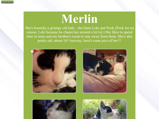 pages/merlin screenshot