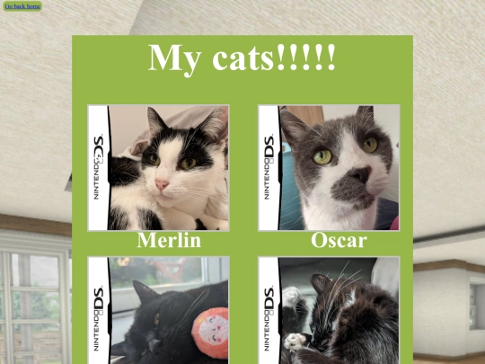 pages/nintencats screenshot