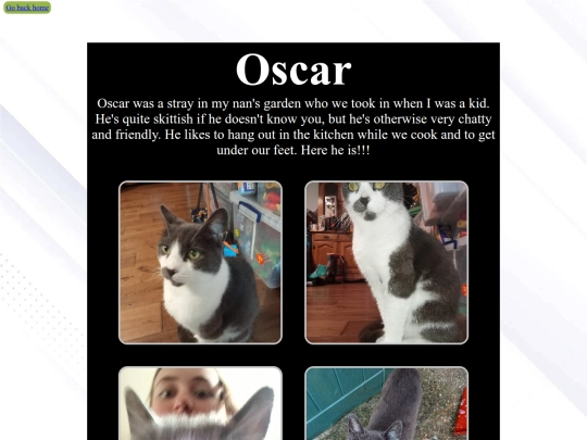 pages/oscar screenshot