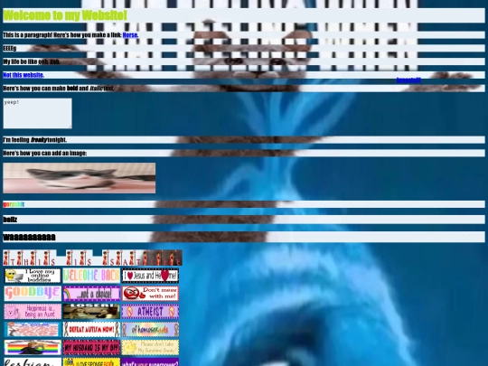 windex screenshot