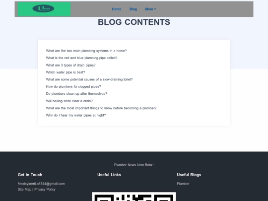 blog screenshot