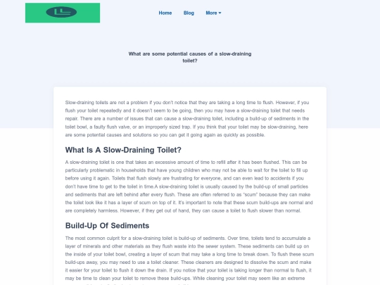 blog/what-are-some-potential-causes-of-a-slow-draining-toilet screenshot