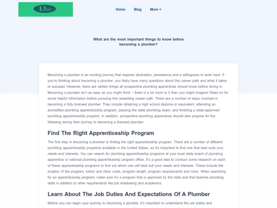 blog/what-are-the-most-important-things-to-know-before-becoming-a-plumber screenshot