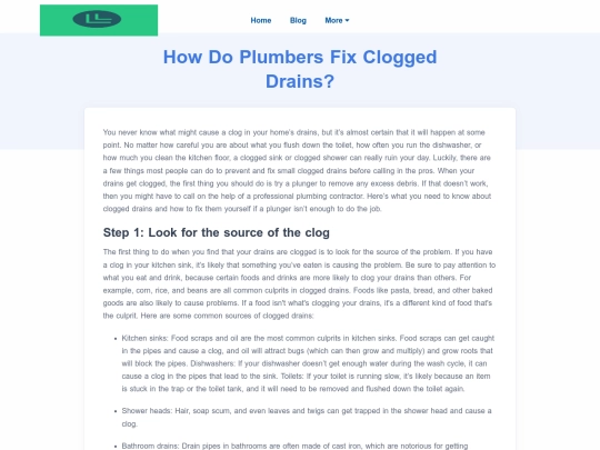 how-do-plumbers-fix-clogged-drains screenshot