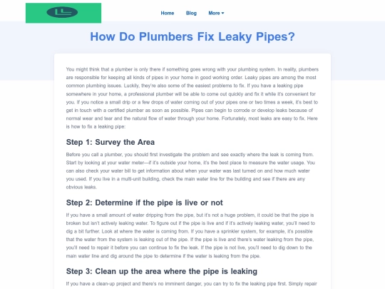 how-do-plumbers-fix-leaky-pipes screenshot