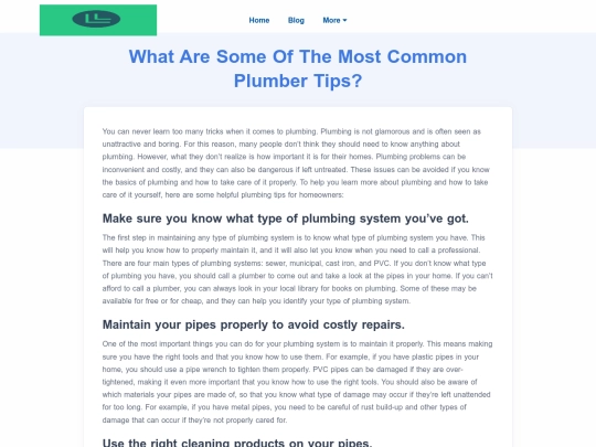 what-are-some-of-the-most-common-plumber-tips screenshot