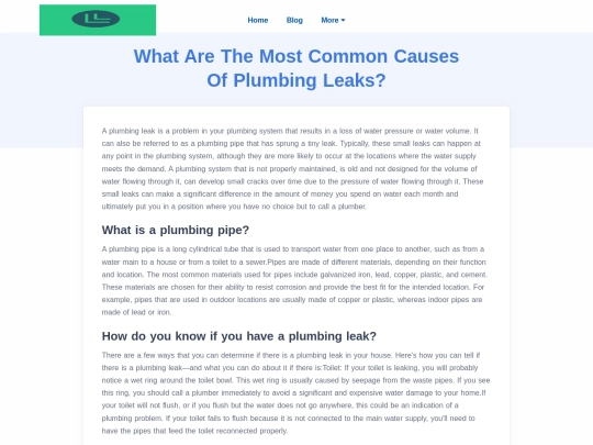 what-are-the-most-common-causes-of-plumbing-leaks screenshot