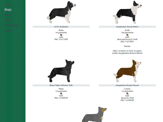 bouncytails/bordercollie screenshot
