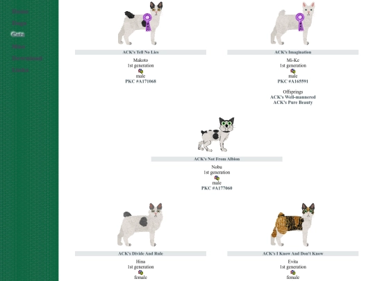 foreign/japanesebobtail screenshot