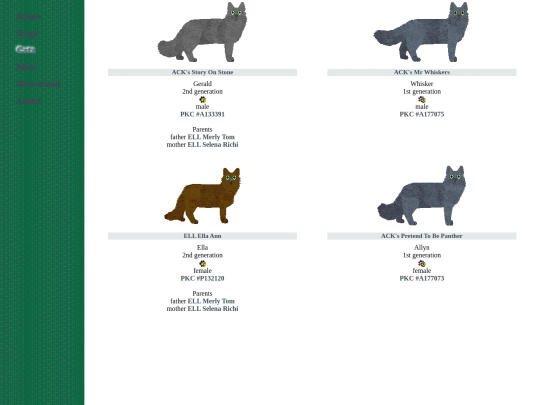 foreign/nebelung screenshot