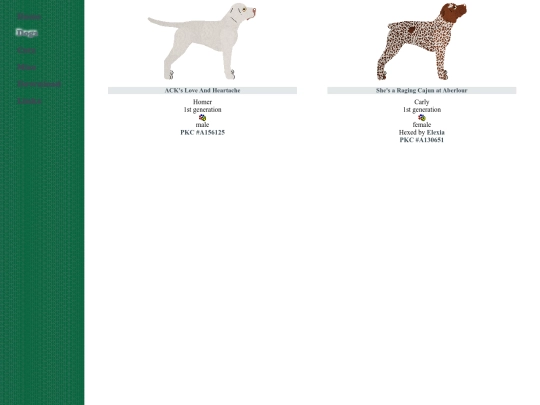gundog/bourbon screenshot