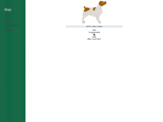 gundog/brittany screenshot