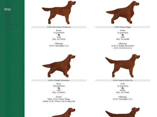 gundog/irishsetter screenshot