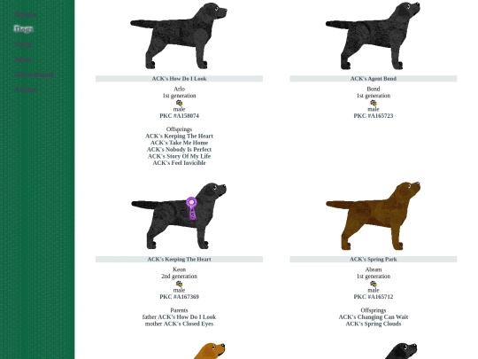 gundog/labrador screenshot
