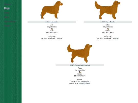 gundog/nsdtr screenshot