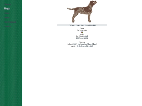 gundog/swp screenshot
