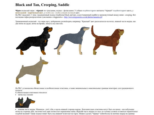 hexing/blackandtan screenshot