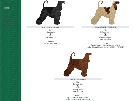 hound/afghanhound screenshot
