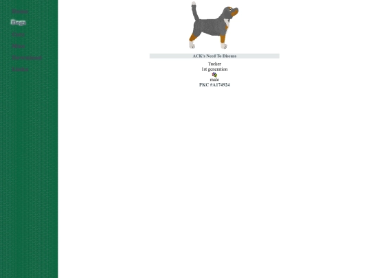 hound/beagle screenshot