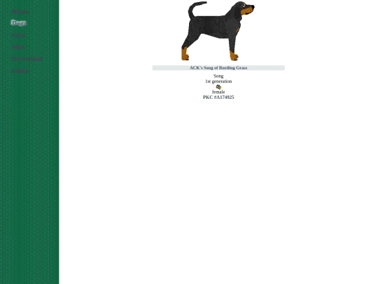 hound/btcoonhound screenshot