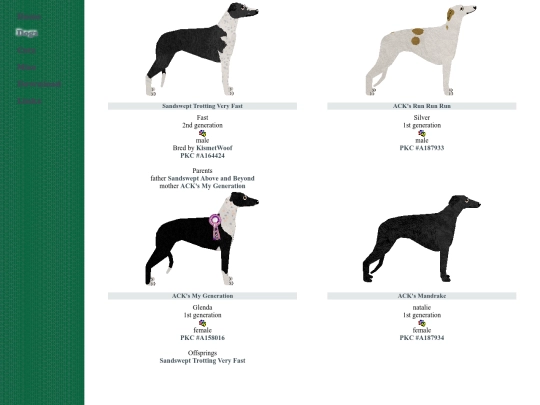 hound/greyhound screenshot