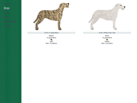 hound/irishwolfhound screenshot