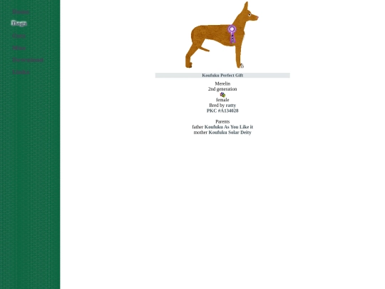 hound/pharaohhound screenshot