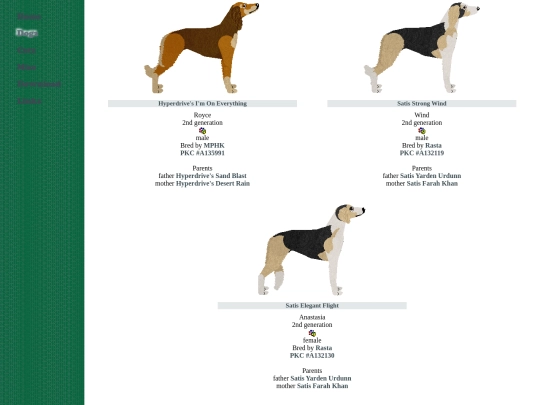 hound/saluki screenshot